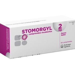 Stomorgyl 2